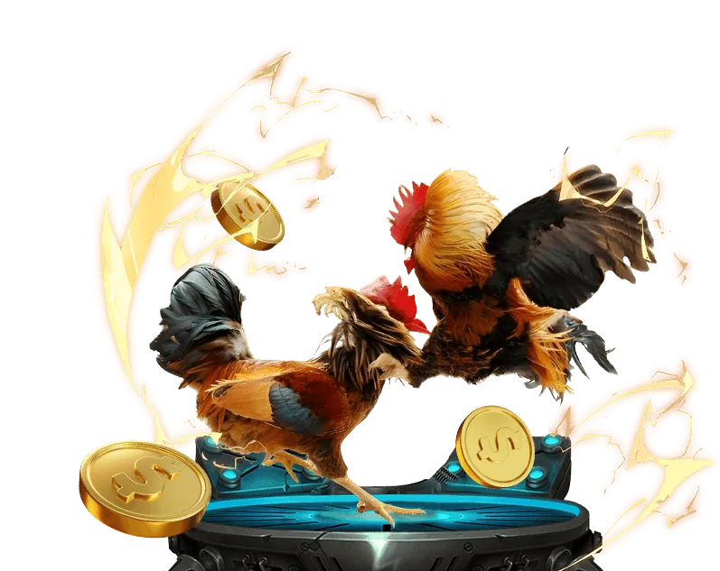 Tài liệu điều khoản dịch vụ CWIN